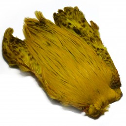 Kohout Indi - Yellow