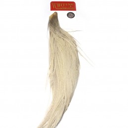 Whiting Dry Fly Hackle - Lt. Dun