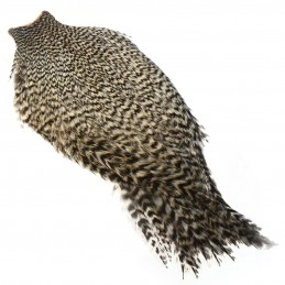 Whiting American Cape - Grizzly Olive
