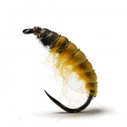 Larva chrostíka Žlutá