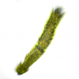 Ocas veverky - Chartreuse
