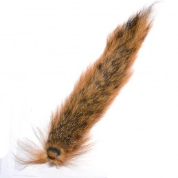 Veniard Fox Squirrel - Natur