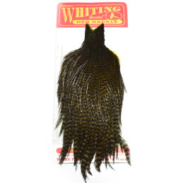 Whiting RL Hen Cape Grizzly...