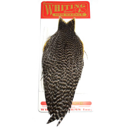 Whiting RL Hen Cape Grizzly