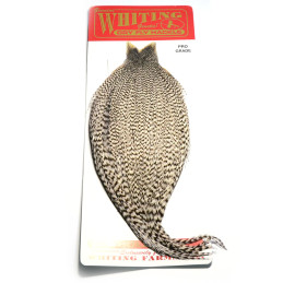 Whiting Grizzly - Pro Grade