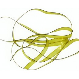 Sybai Flat Bodyglass - Olive