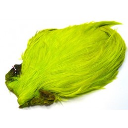 Kohout Indi - Chartreuse