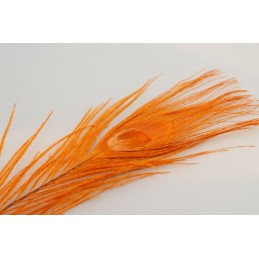 Dyed Peacock - Orange 2ks