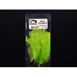 Spey Plumes - Chartreuse