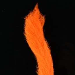 Kiptail - Fl. Orange