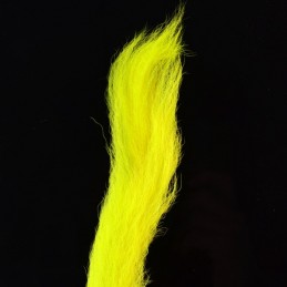 Kiptail - Fl. Yellow