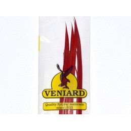 Veniard Turkey Biot 4ks - Red