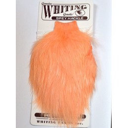 WHITING Spey Hackle Hen -  Salmon