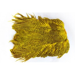 GSH Marabou Patch - Yellow