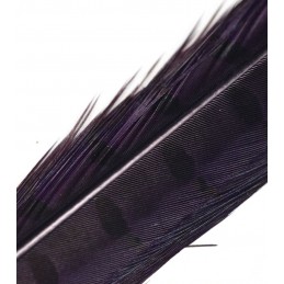 Ocasní pero bažant - Dark Purple