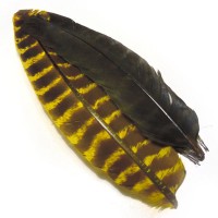 Krocaní pera
